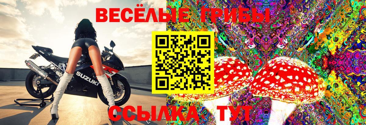 Галлюциногенные грибы Psilocybe  Вход с VPN  Ковров 